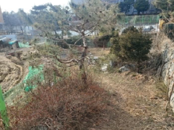 경기도 용인시 기흥구 하갈동 77-1 외 7필지 근린생활시설 경매 사진 4