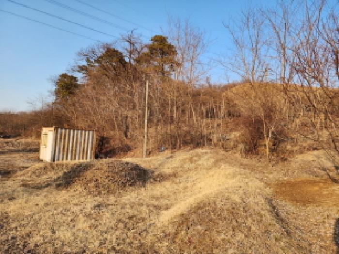 경기도 화성시 남양읍 장덕리 456 외 2필지 전 경매 사진 3