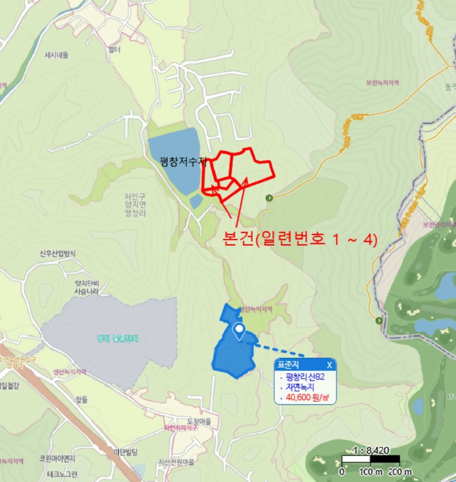 경기도 용인시 처인구 양지면 평창리 산47 외 3필지 임야 경매 사진 11