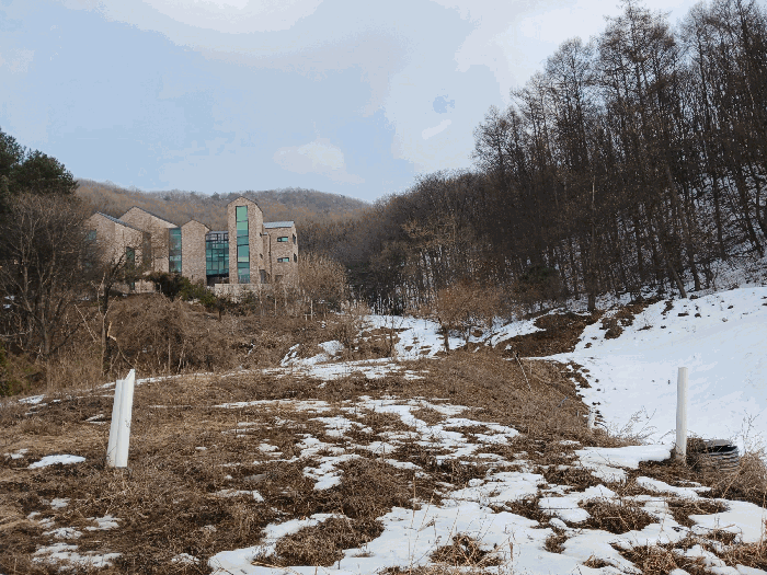 경기도 용인시 처인구 양지면 평창리 산47 외 3필지 임야 경매 사진 5