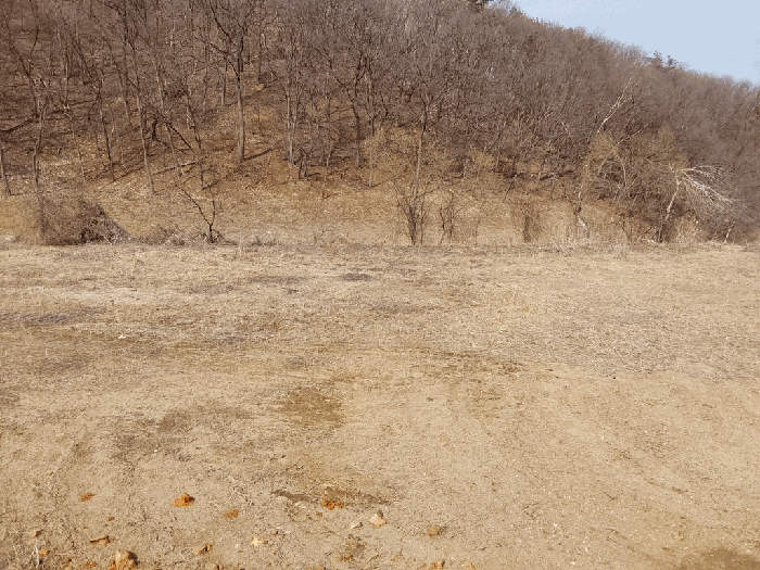 경기도 광주시 남종면 삼성리 437-2 전 경매 사진 13