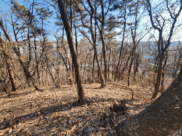 경기도 성남시 중원구 도촌동 산9 임야 경매 사진 43