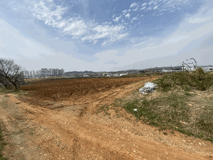 경기도 평택시 청룡동 221-1 외 17필지 전 경매 사진 48
