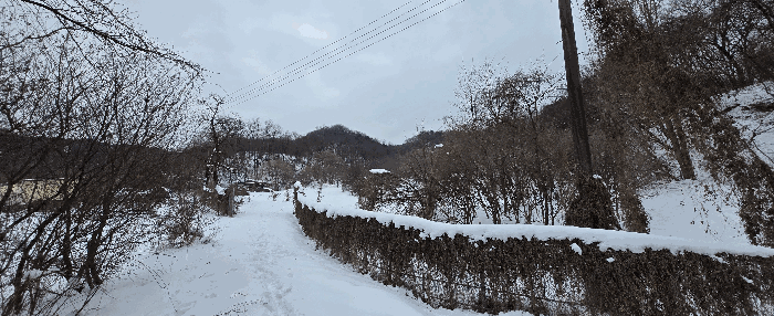경기도 안성시 죽산면 장계리 204 외 26필지 전 경매 사진 101