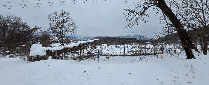 경기도 안성시 죽산면 장계리 204 외 26필지 전 경매 사진 104