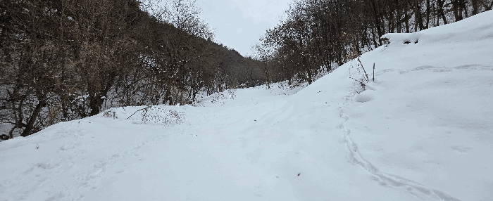 경기도 안성시 죽산면 장계리 204 외 26필지 전 경매 사진 105