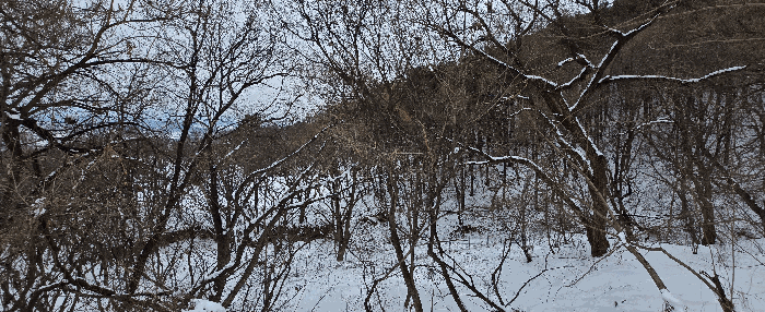 경기도 안성시 죽산면 장계리 204 외 26필지 전 경매 사진 109
