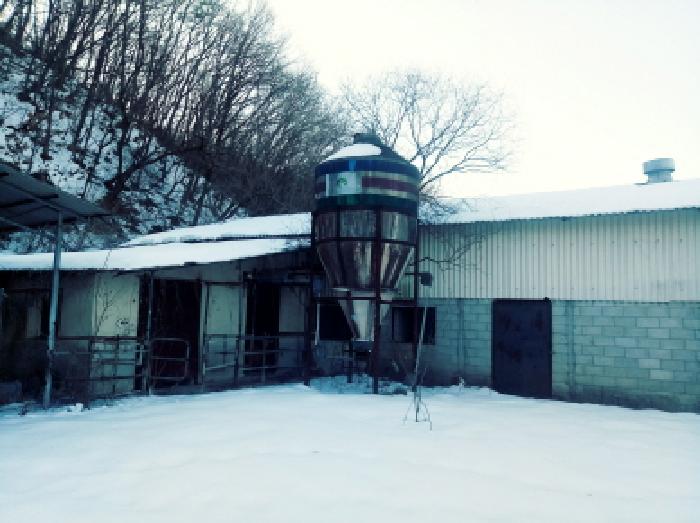 경기도 안성시 죽산면 장계리 204 외 26필지 전 경매 사진 13
