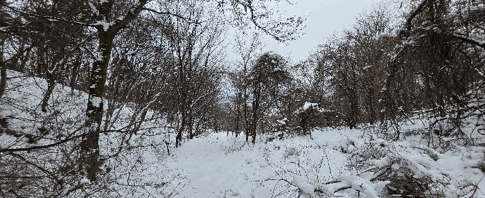 경기도 안성시 죽산면 장계리 204 외 26필지 전 경매 사진 117