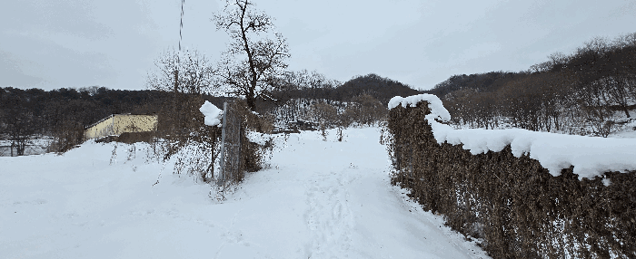 경기도 안성시 죽산면 장계리 204 외 26필지 전 경매 사진 118