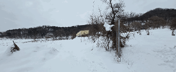 경기도 안성시 죽산면 장계리 204 외 26필지 전 경매 사진 121