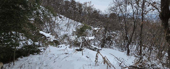 경기도 안성시 죽산면 장계리 204 외 26필지 전 경매 사진 125