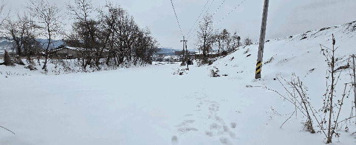 경기도 안성시 죽산면 장계리 204 외 26필지 전 경매 사진 126