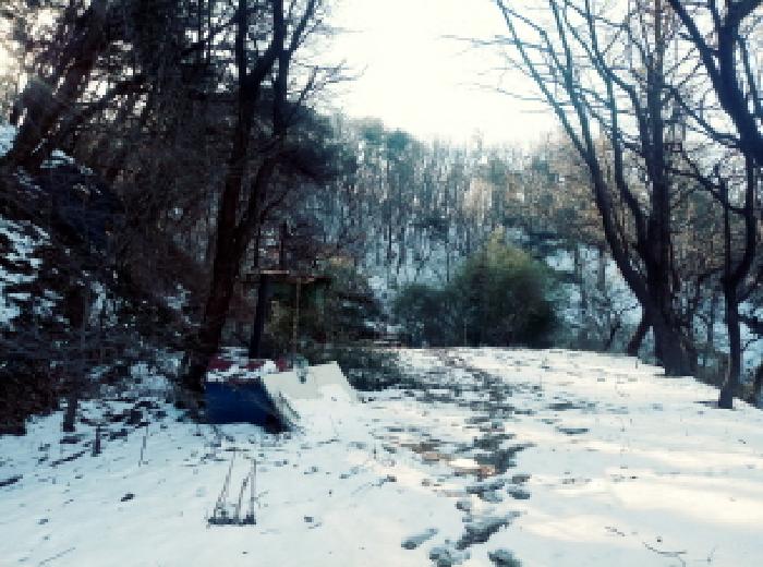 경기도 안성시 죽산면 장계리 204 외 26필지 전 경매 사진 16