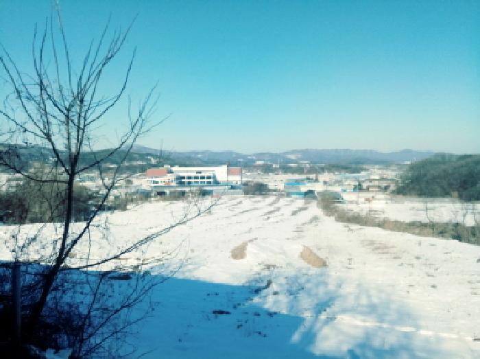 경기도 안성시 죽산면 장계리 204 외 26필지 전 경매 사진 17