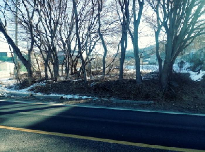 경기도 안성시 죽산면 장계리 204 외 26필지 전 경매 사진 3