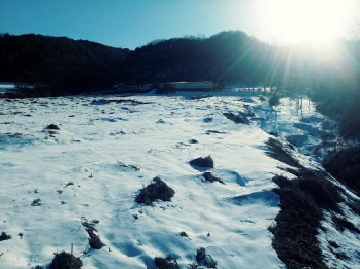 경기도 안성시 죽산면 장계리 204 외 26필지 전 경매 사진 27
