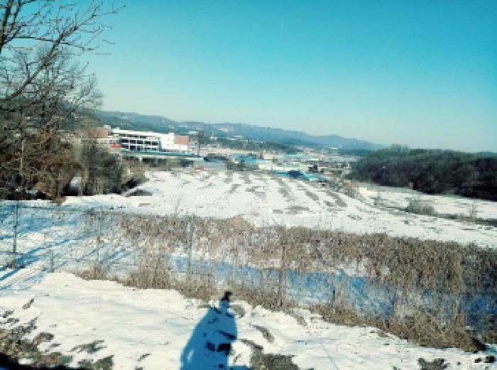 경기도 안성시 죽산면 장계리 204 외 26필지 전 경매 사진 29