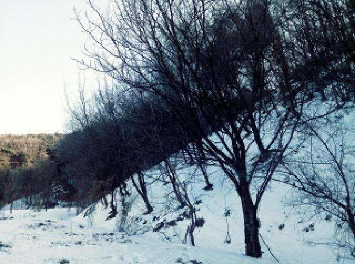 경기도 안성시 죽산면 장계리 204 외 26필지 전 경매 사진 32
