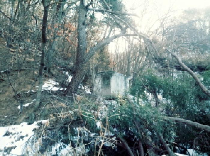 경기도 안성시 죽산면 장계리 204 외 26필지 전 경매 사진 35