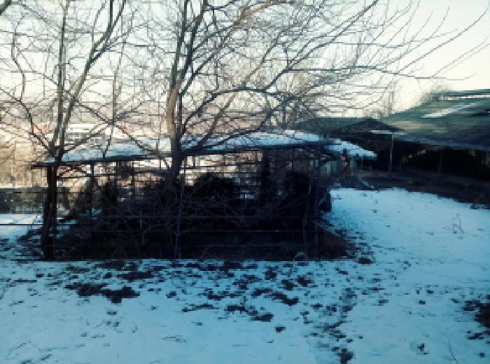 경기도 안성시 죽산면 장계리 204 외 26필지 전 경매 사진 38