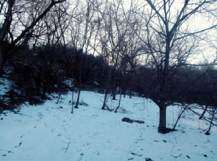 경기도 안성시 죽산면 장계리 204 외 26필지 전 경매 사진 39