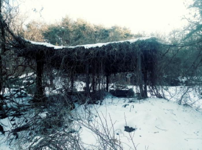 경기도 안성시 죽산면 장계리 204 외 26필지 전 경매 사진 40