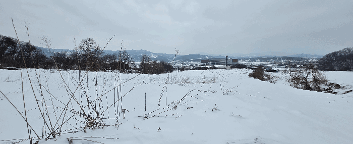 경기도 안성시 죽산면 장계리 204 외 26필지 전 경매 사진 42