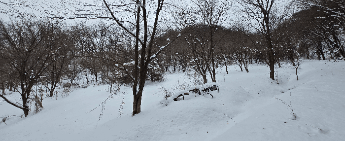 경기도 안성시 죽산면 장계리 204 외 26필지 전 경매 사진 50