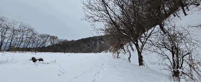 경기도 안성시 죽산면 장계리 204 외 26필지 전 경매 사진 51