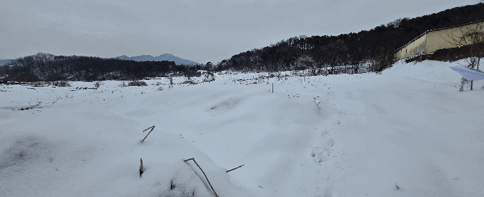 경기도 안성시 죽산면 장계리 204 외 26필지 전 경매 사진 56