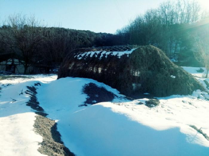 경기도 안성시 죽산면 장계리 204 외 26필지 전 경매 사진 7