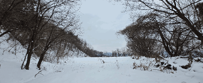 경기도 안성시 죽산면 장계리 204 외 26필지 전 경매 사진 58