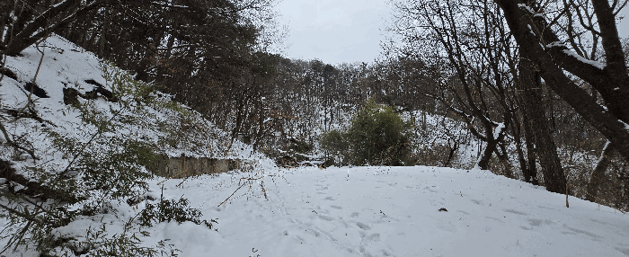 경기도 안성시 죽산면 장계리 204 외 26필지 전 경매 사진 62