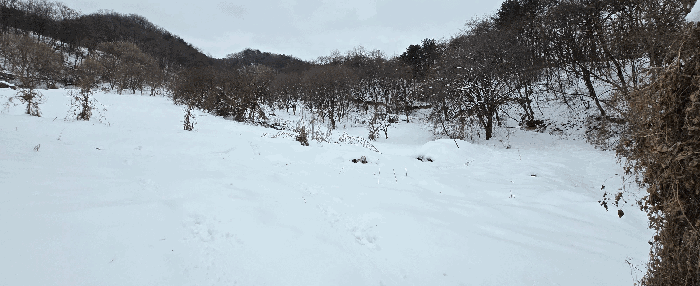 경기도 안성시 죽산면 장계리 204 외 26필지 전 경매 사진 63