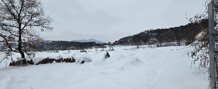 경기도 안성시 죽산면 장계리 204 외 26필지 전 경매 사진 65