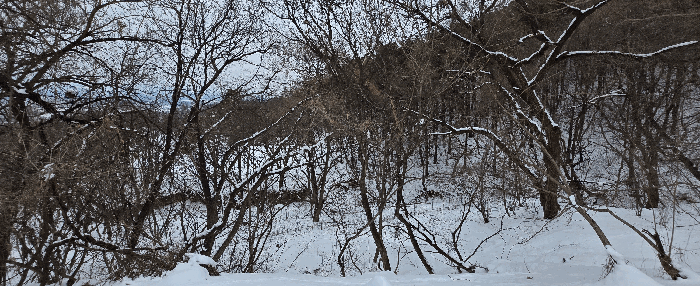경기도 안성시 죽산면 장계리 204 외 26필지 전 경매 사진 66