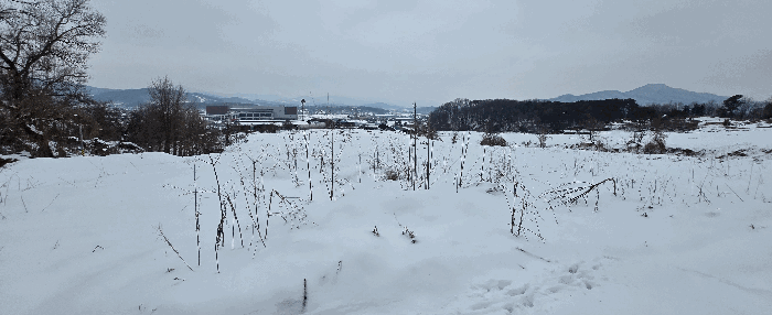 경기도 안성시 죽산면 장계리 204 외 26필지 전 경매 사진 80