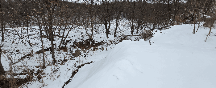 경기도 안성시 죽산면 장계리 204 외 26필지 전 경매 사진 91