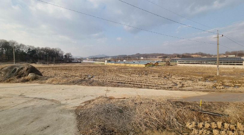 경기도 안성시 일죽면 월정리 853-1 외 1필지 전 경매 사진 1