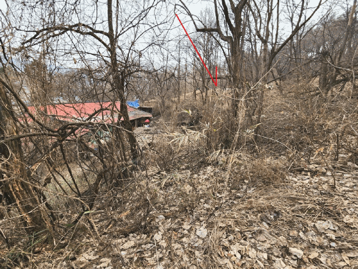 경기도 안성시 삼죽면 내강리 157-1 대지 경매 사진 12