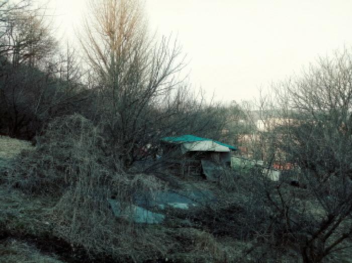 경기도 안성시 삼죽면 내강리 157-1 대지 경매 사진 8