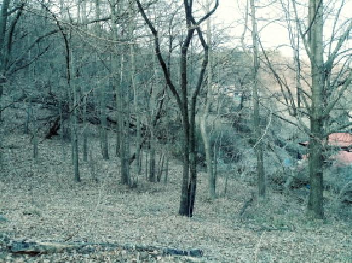 경기도 안성시 삼죽면 내강리 157-1 대지 경매 사진 9