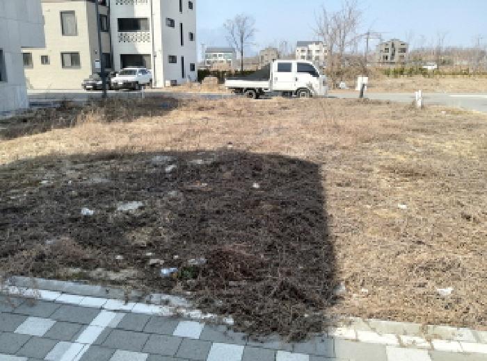 경기도 평택시 고덕동 2428-9 대지 경매 사진 3