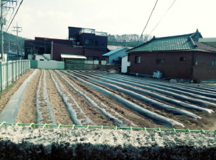 경기 안성시 원곡면 산하리 458-1 외 1필지 단독주택 경매 사진 6
