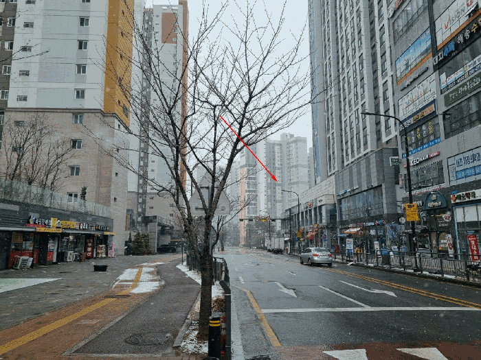 경기 군포시 도마교동 478, 1층에이124호 (도마교동,군포송정풍산리치안) 근린상가 경매 사진 14