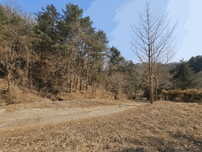 강원특별자치도 춘천시 신동면 증리 98-2 외 5필지 단독주택 경매 사진 42