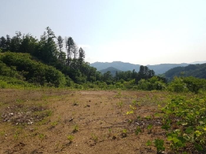 강원특별자치도 홍천군 서면 두미리 산36 외 10필지 임야 경매 사진 22