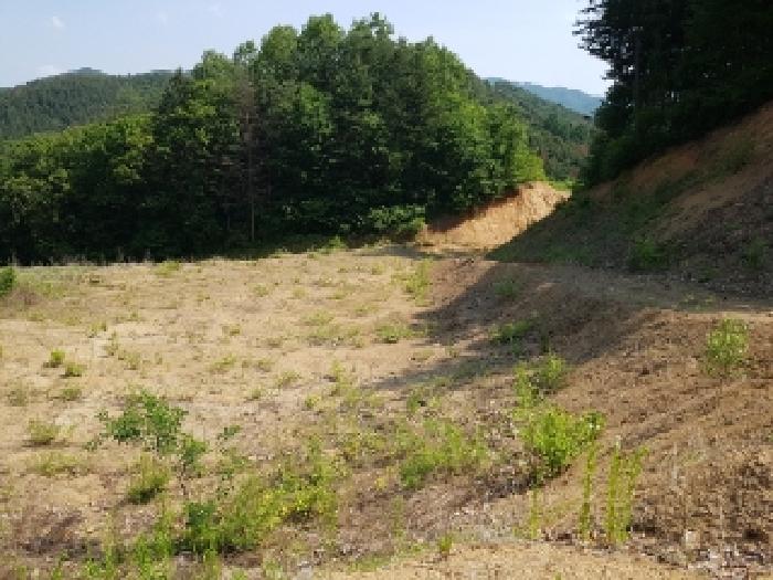 강원특별자치도 홍천군 서면 두미리 산36 외 10필지 임야 경매 사진 7