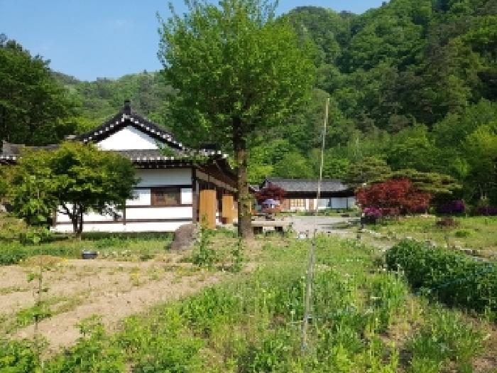강원특별자치도 홍천군 화촌면 군업리 산151-1 외 9필지 숙박시설 경매 사진 20